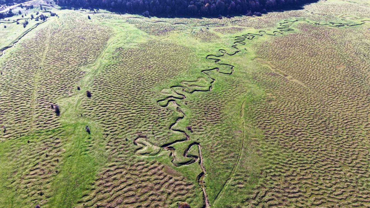 Taraklı Karagöl Yaylası'nın Büyüleyici Görüntüsü - Sayfa 1