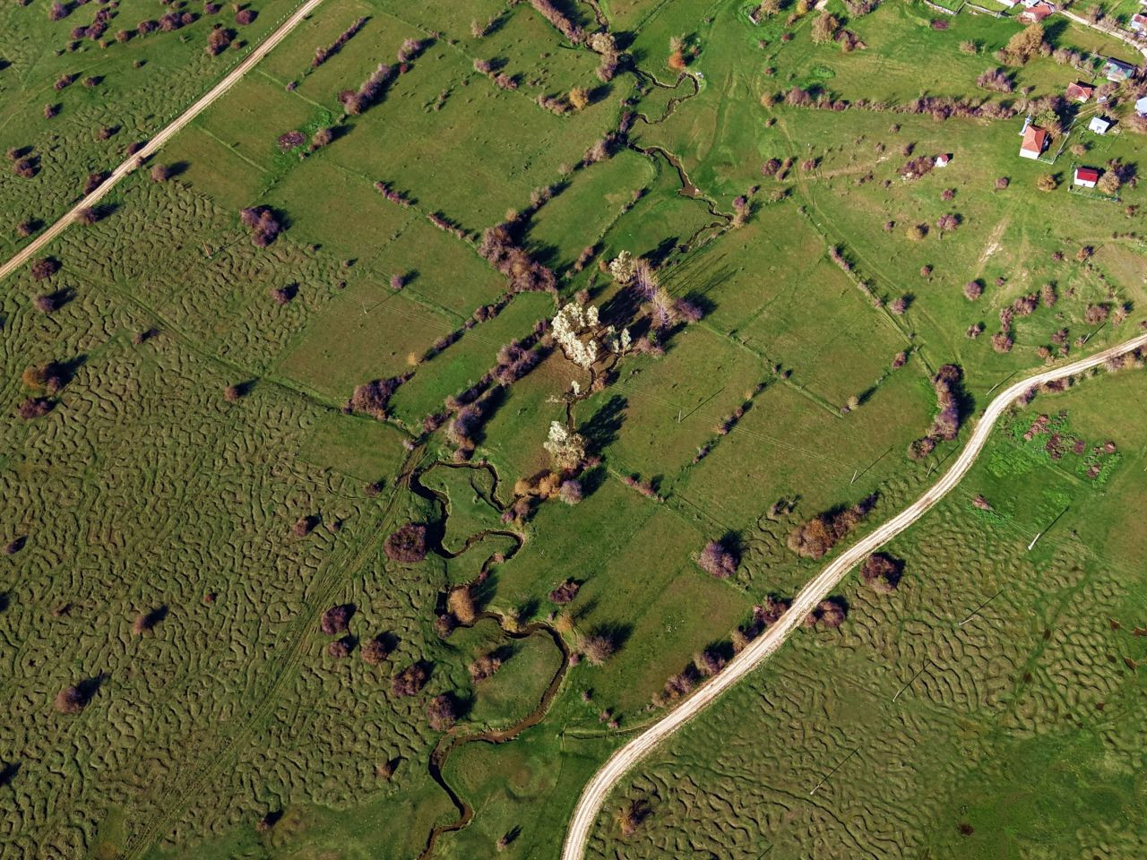 Taraklı Karagöl Yaylası'nın Büyüleyici Görüntüsü - Sayfa 4