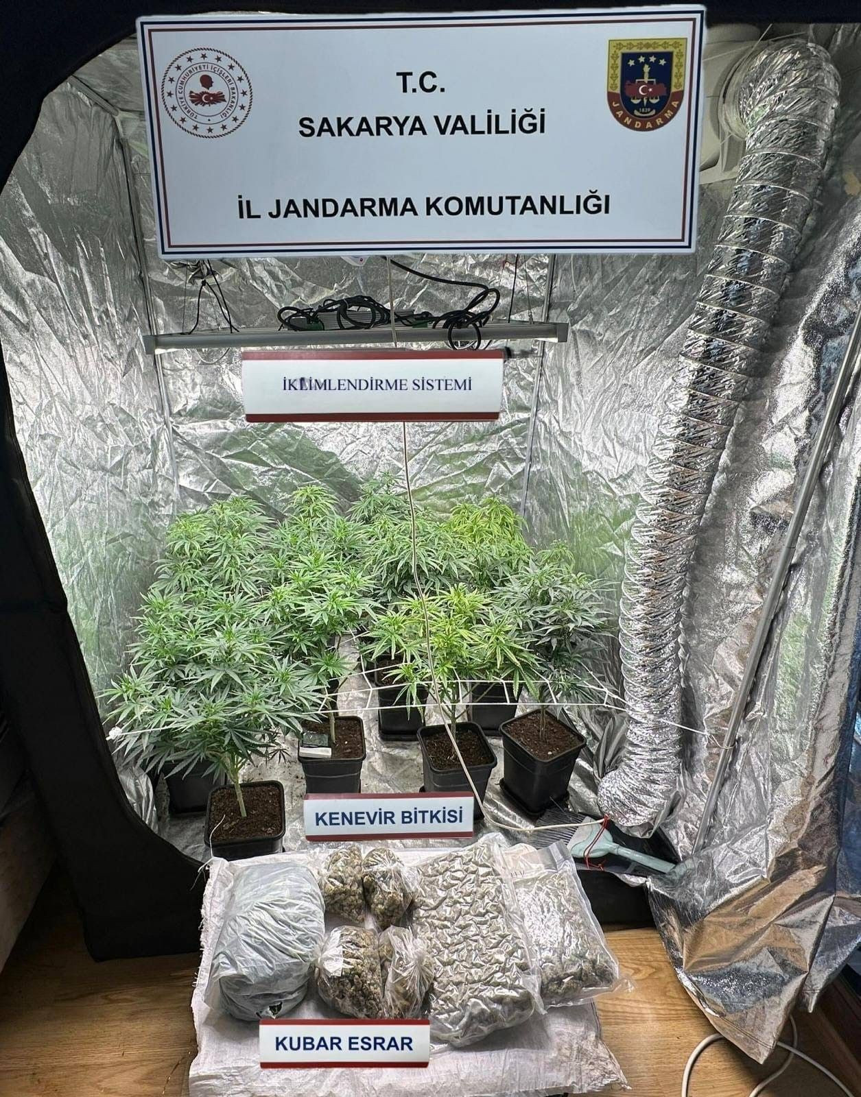 Sakarya'da Uyuşturucu Operasyonları - Sayfa 2