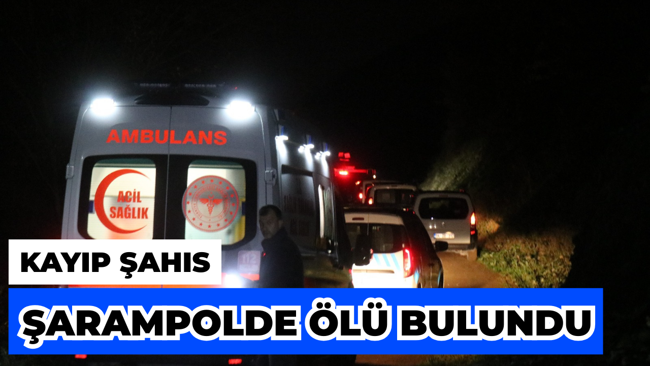 Serdivan'da Kayıp Şahıs Şarampolde Ölü Bulundu