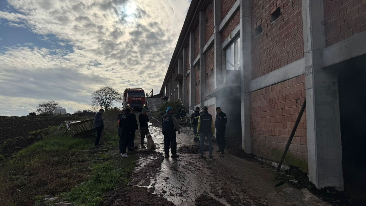 Kaynarca’da Tavuk Çiftliği Deposunda Çıkan Yangın Söndürüldü - Sayfa 1