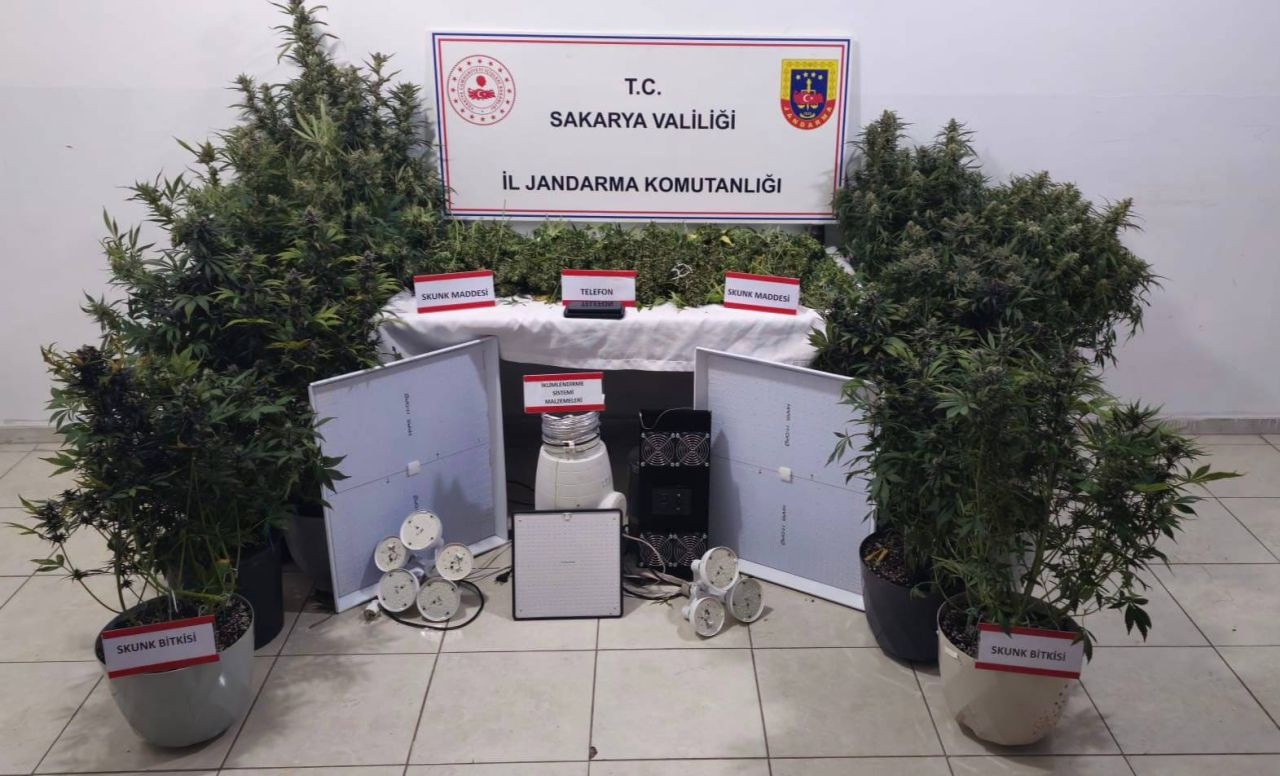 Evin İçinden Uyuşturucu Serası Çıktı - Sayfa 4