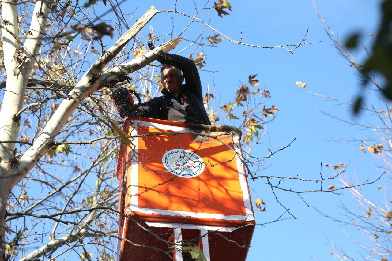 Erenler’de Park Ve Bahçelerde Çalışmalar Hız Kesmiyor - Sayfa 3