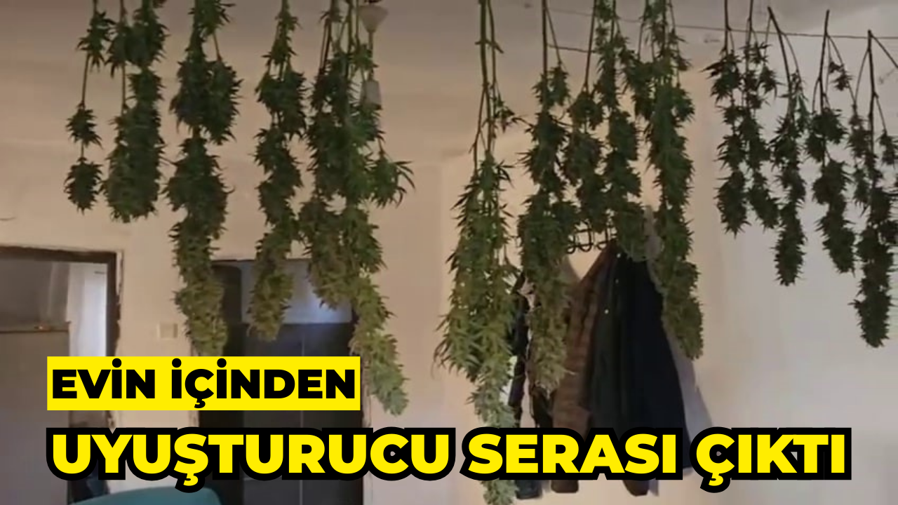 Evin İçinden Uyuşturucu Serası Çıktı