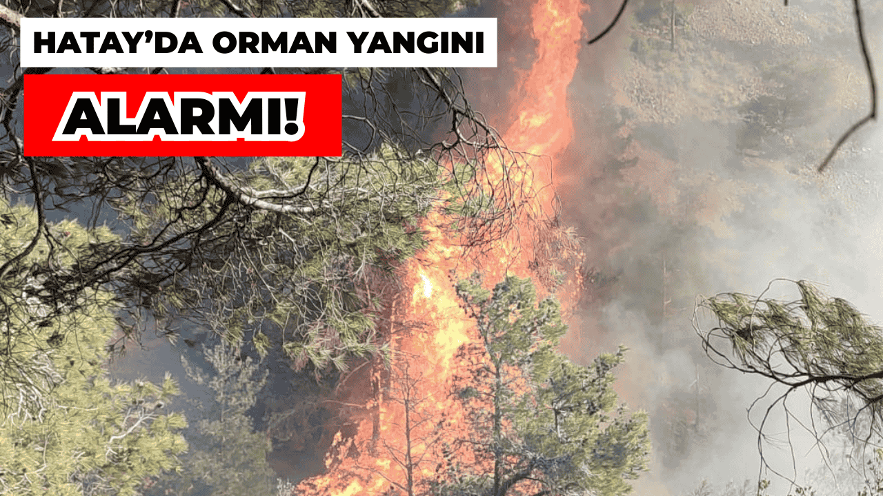 Hatay'da Orman Yangını: Ekiplerin Müdahalesi Başladı