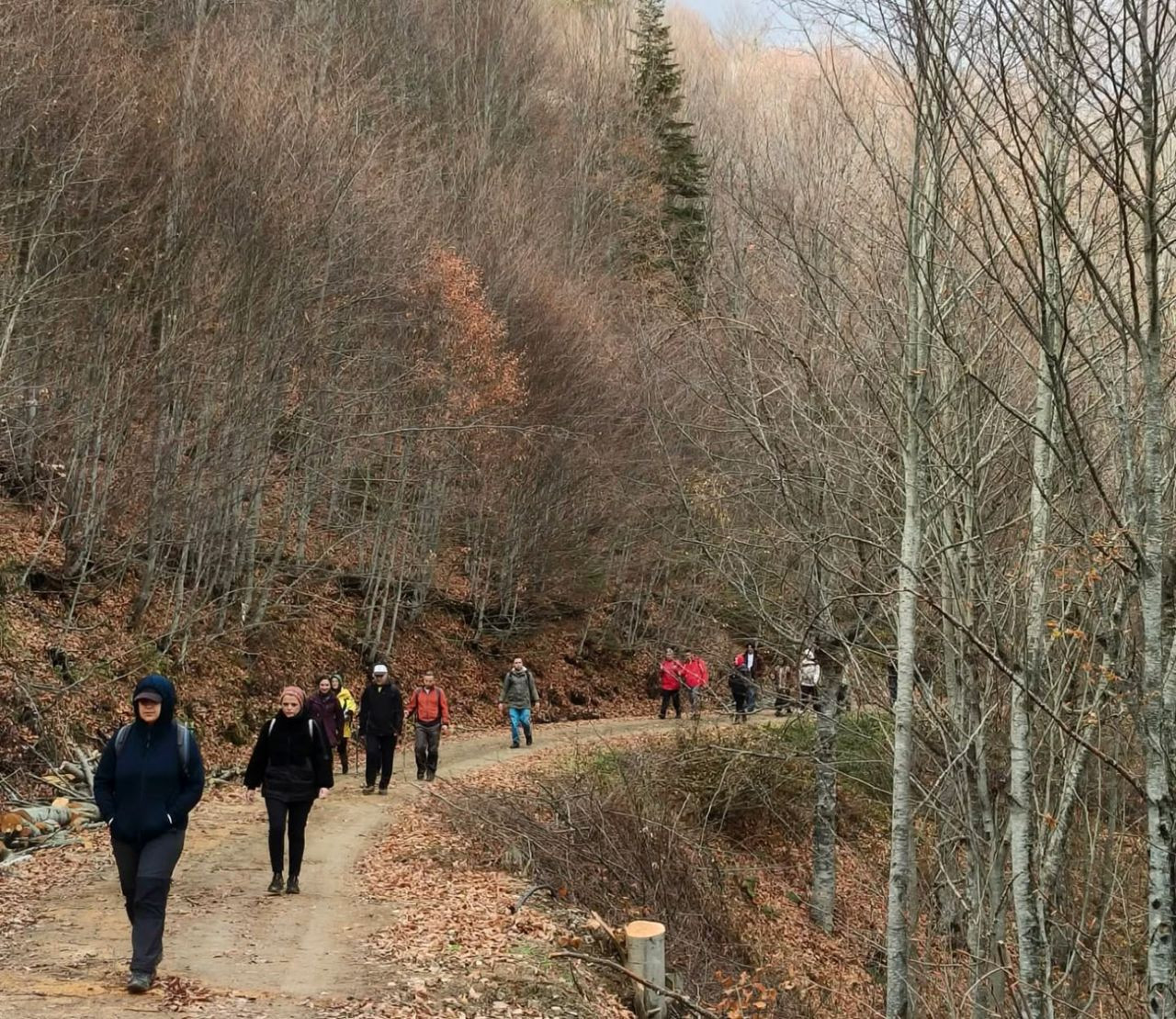 Sakarya’da Doğa Yürüyüşlerine Büyüleyici Final: Kıranyurt - Sayfa 3