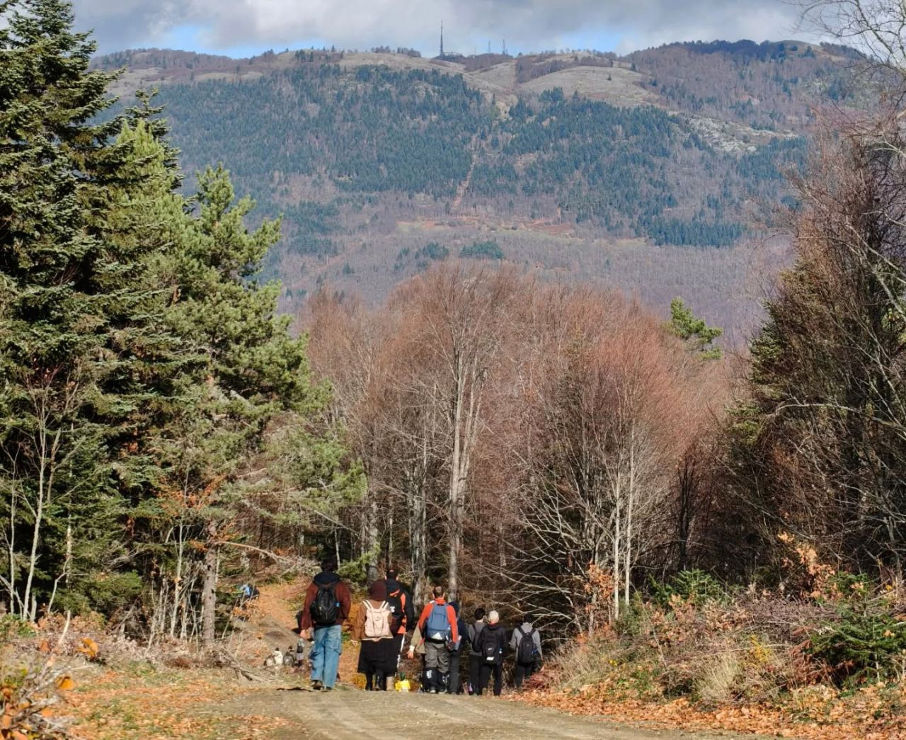 Sakarya’da Doğa Yürüyüşlerine Büyüleyici Final: Kıranyurt - Sayfa 1