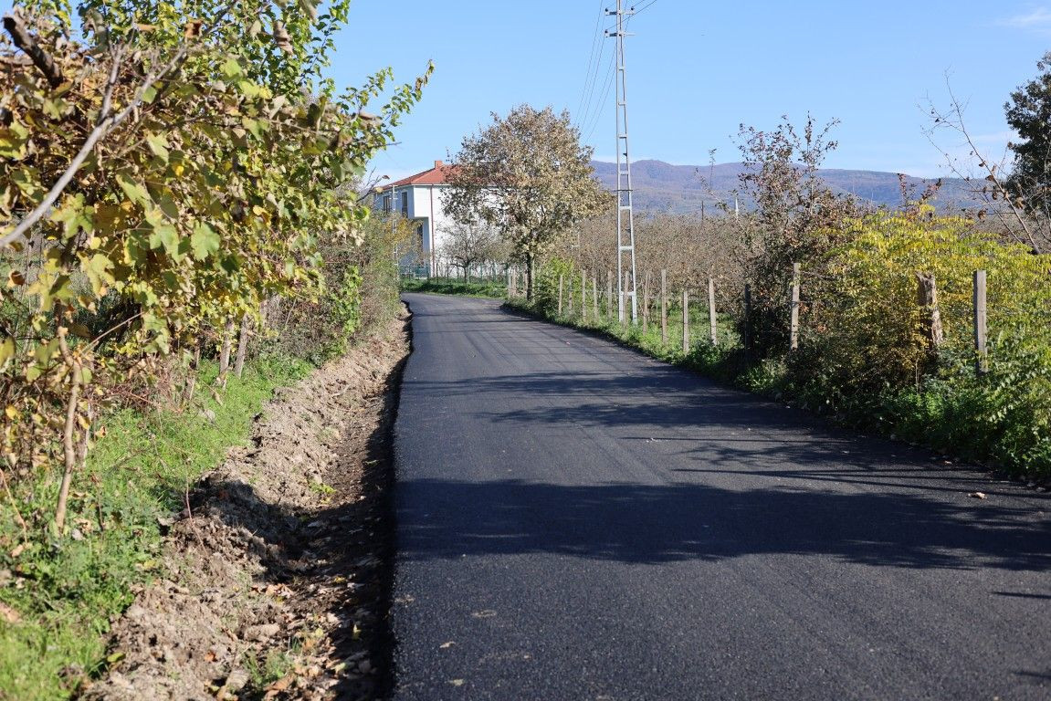 Hendek'te Ulaşım Konforu Yeni Bir Seviyeye Taşınıyor - Sayfa 2