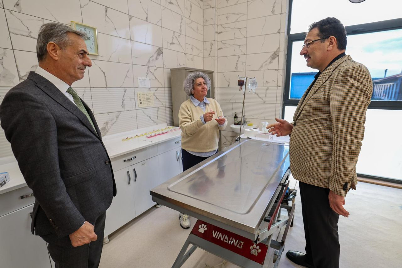 Sakarya, Sokak Hayvanları İçin Türkiye’nin En Kapsamlı Kampüsünü Açtı! - Sayfa 1