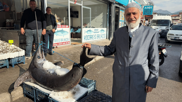 Hatay’da 138 Kiloluk Dev Kılıç Balığı İlgi Odağı Oldu - Sayfa 1