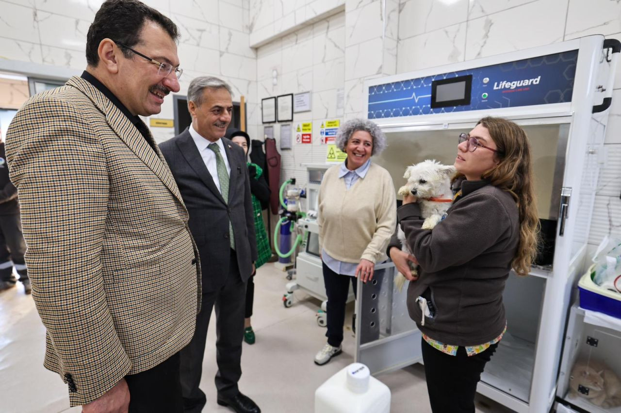 Sakarya, Sokak Hayvanları İçin Türkiye’nin En Kapsamlı Kampüsünü Açtı! - Sayfa 2