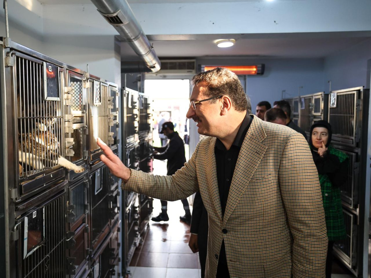 Sakarya, Sokak Hayvanları İçin Türkiye’nin En Kapsamlı Kampüsünü Açtı! - Sayfa 3