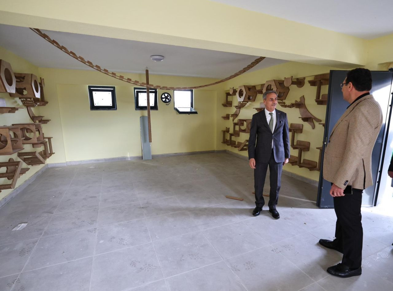 Sakarya, Sokak Hayvanları İçin Türkiye’nin En Kapsamlı Kampüsünü Açtı! - Sayfa 7