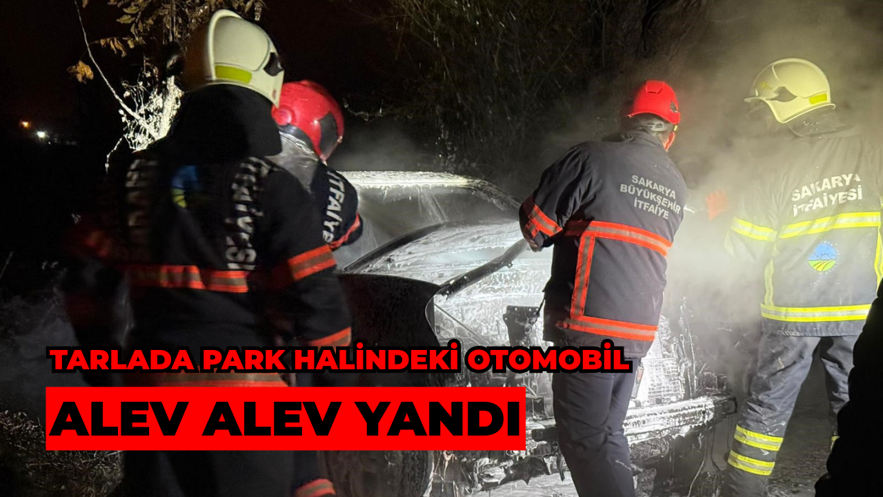 Sakarya’da Tarlada Park Halindeki Otomobil Alev Alev Yandı