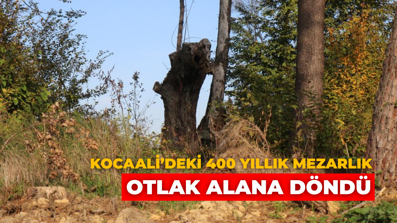 Kocaali’de 400 Yıllık Mezarlık Definecilerle Yok Oldu