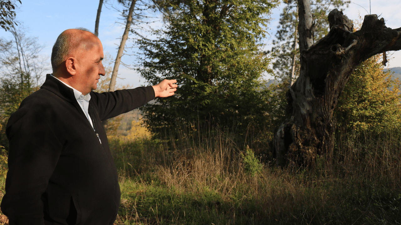 Kocaali’de 400 Yıllık Mezarlık Definecilerle Yok Oldu - Sayfa 2