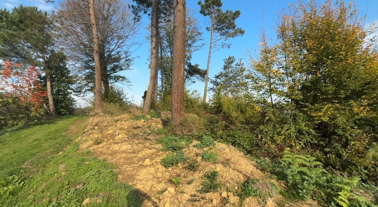 Kocaali’de 400 Yıllık Mezarlık Definecilerle Yok Oldu - Sayfa 1