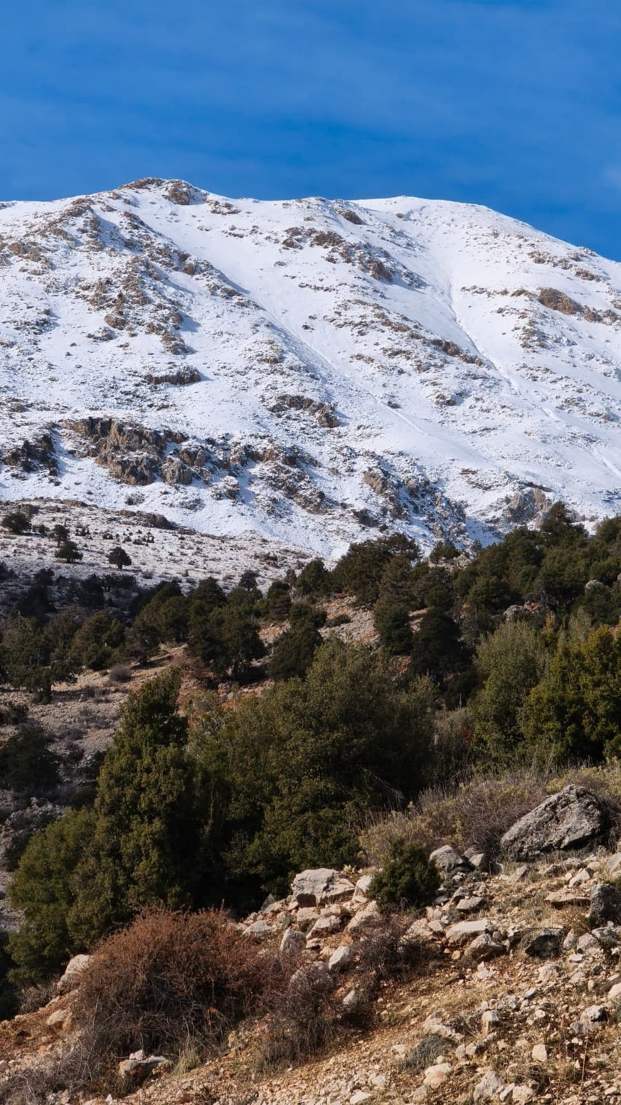 Türkiye Genelinde Kar Yağışı Geliyor - Sayfa 1
