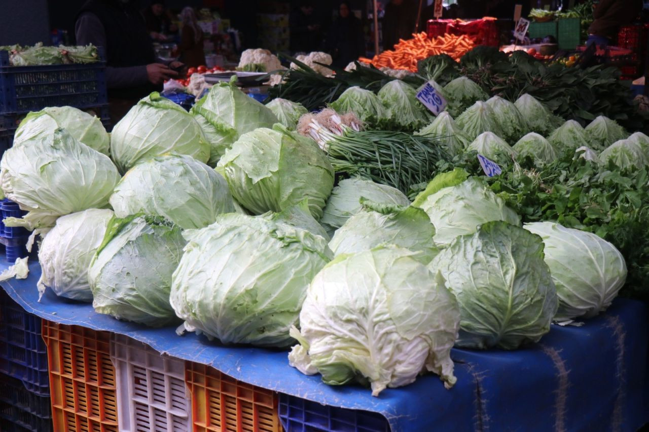 Sakarya’da Lahana Hasadı Devam Ediyor: Turşuların Başrolü Tarlada - Sayfa 4