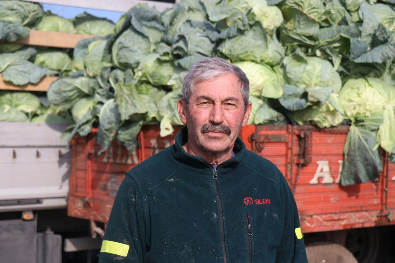 Sakarya’da Lahana Hasadı Devam Ediyor: Turşuların Başrolü Tarlada - Sayfa 1