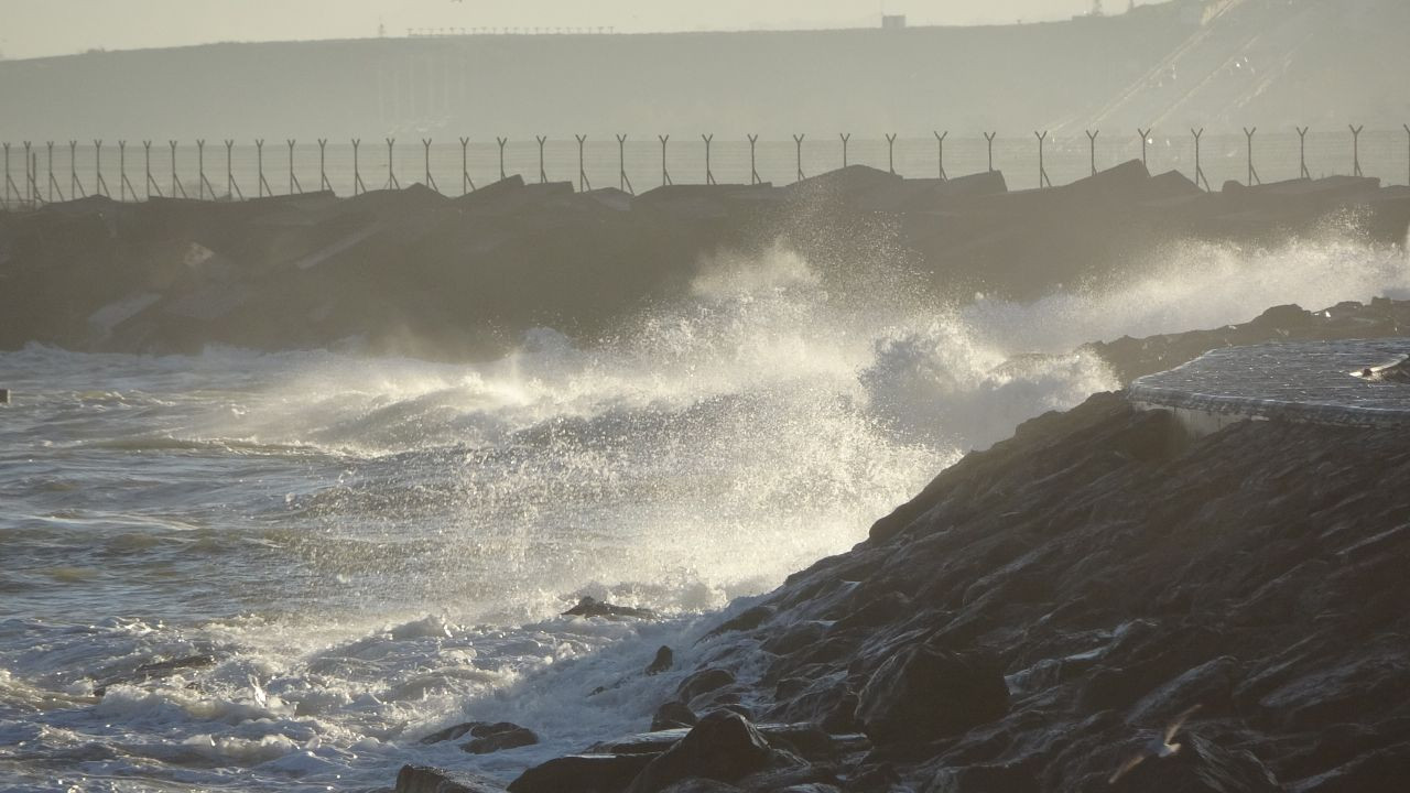 Doğu Karadeniz’de Hamsi Azaldı, Tezgâhlarda İstavrit Öne Çıktı - Sayfa 1