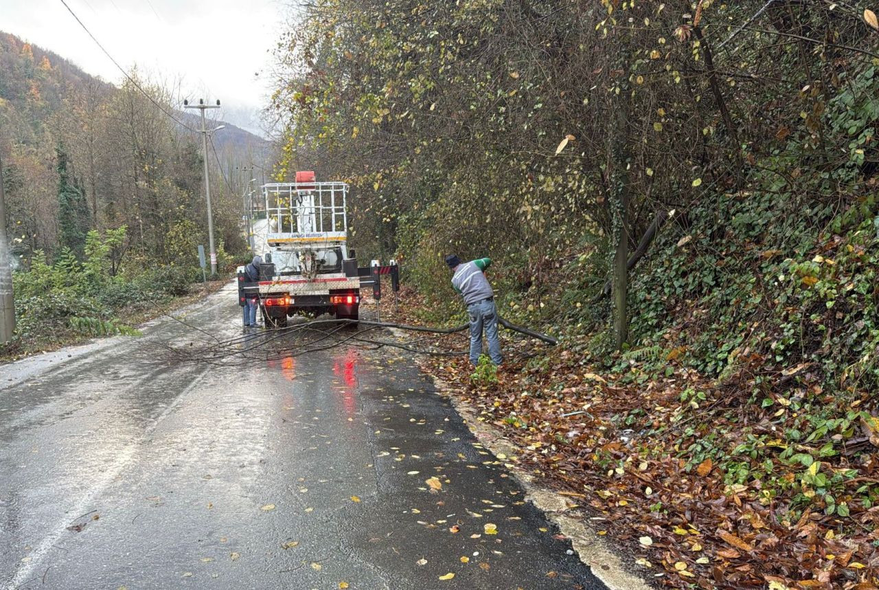 Kar Öncesi, Sapanca’da Tedbir Çalışmaları - Sayfa 2