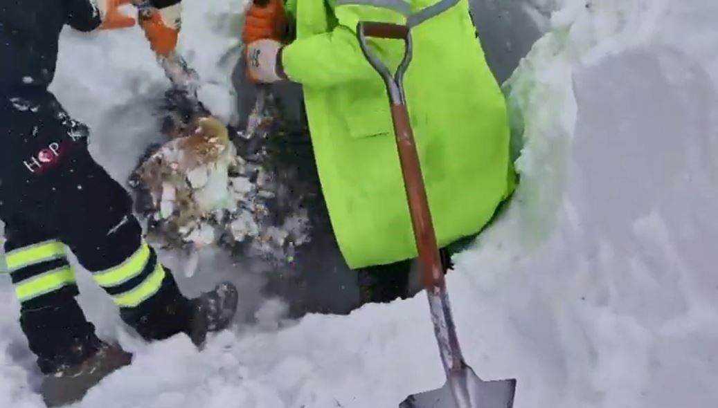 Artvin Ardanuç’ta Çığ Faciası: 2 Çoban İçin Arama Sürüyor - Sayfa 1