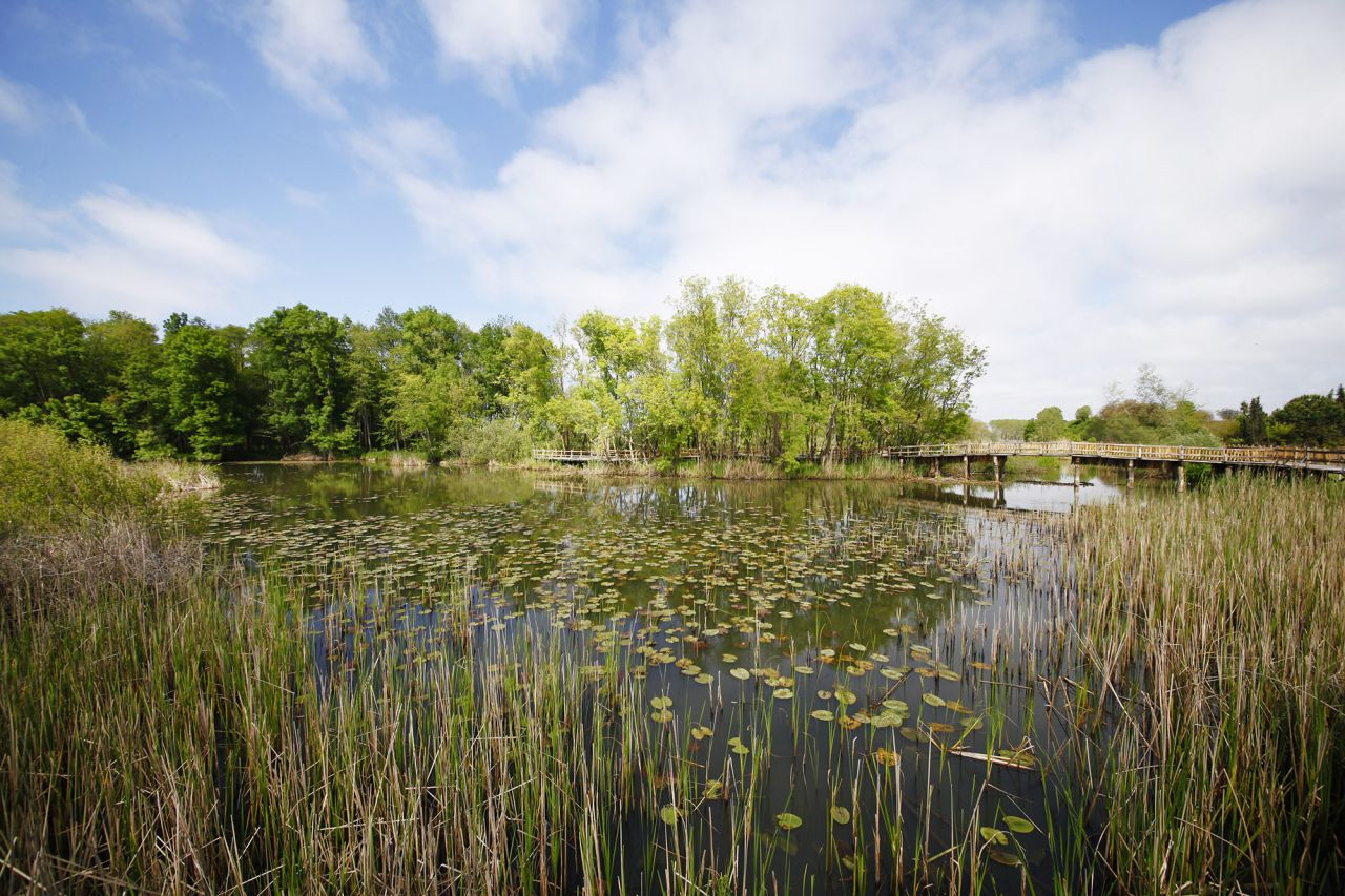 Doğanın Kalbi Sakarya’da Attı: İki Yeşil Noktaya 605 Bin Ziyaretçi - Sayfa 2