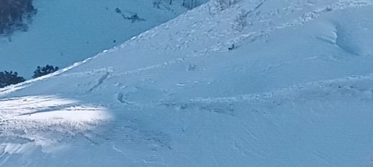 Artvin’de Çığda Kayıp Çoban İçin Arama Sürüyor - Sayfa 4