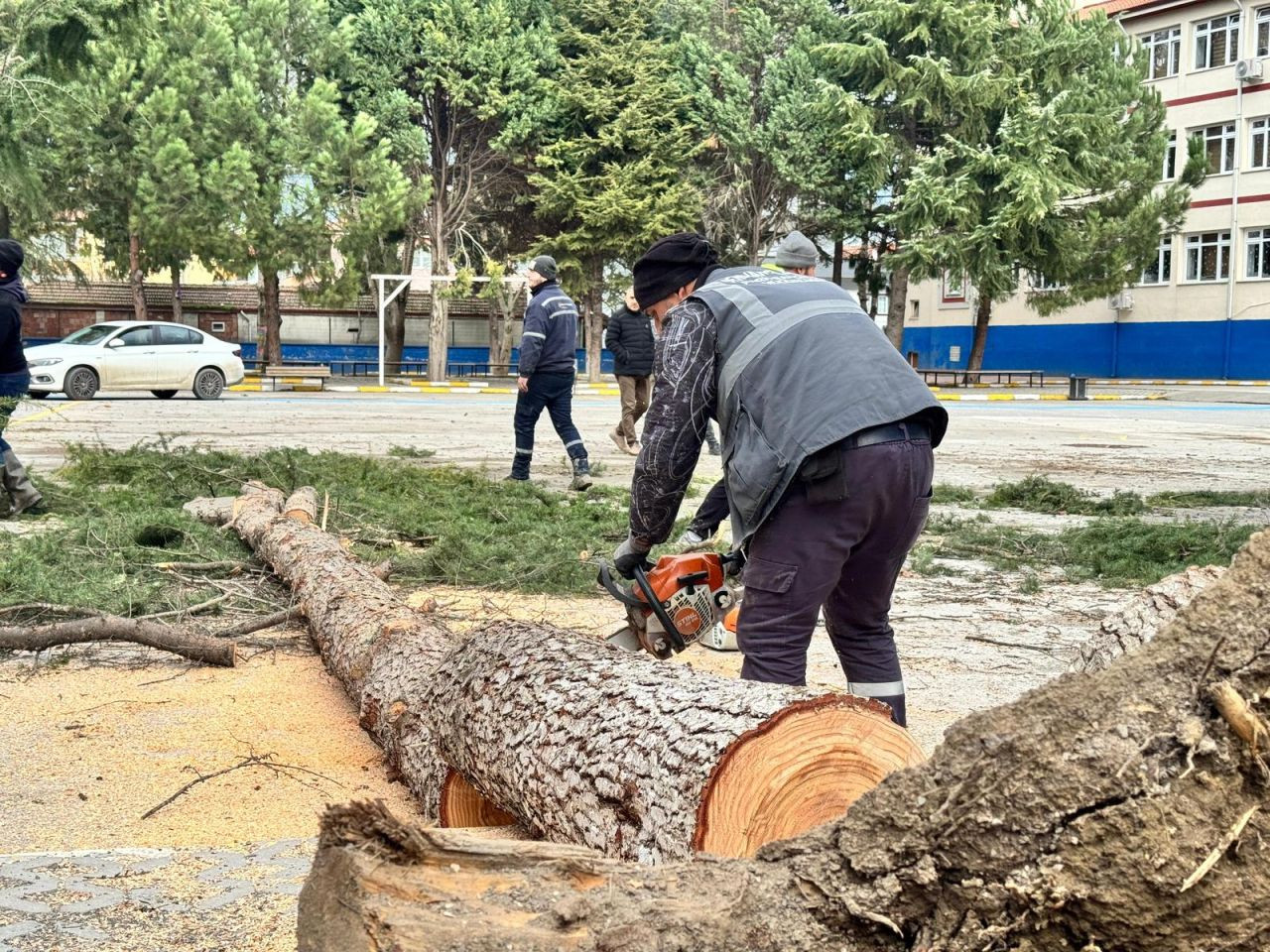 Serdivan Belediyesi, Kuvvetli Rüzgâra Karşı Önlemleri Artırdı - Sayfa 2