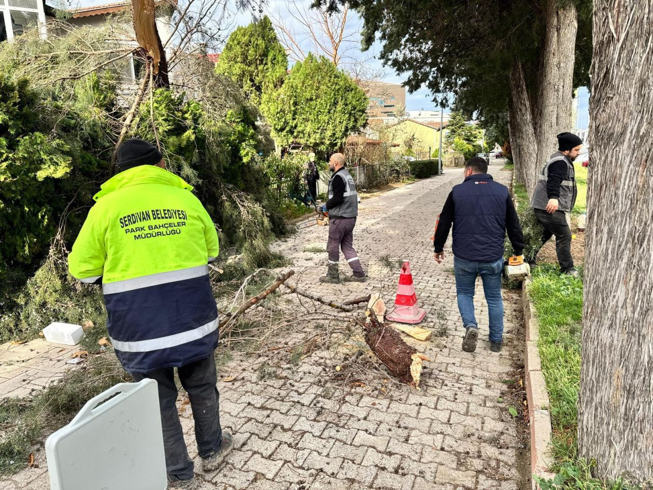 Serdivan Belediyesi, Kuvvetli Rüzgâra Karşı Önlemleri Artırdı - Sayfa 3