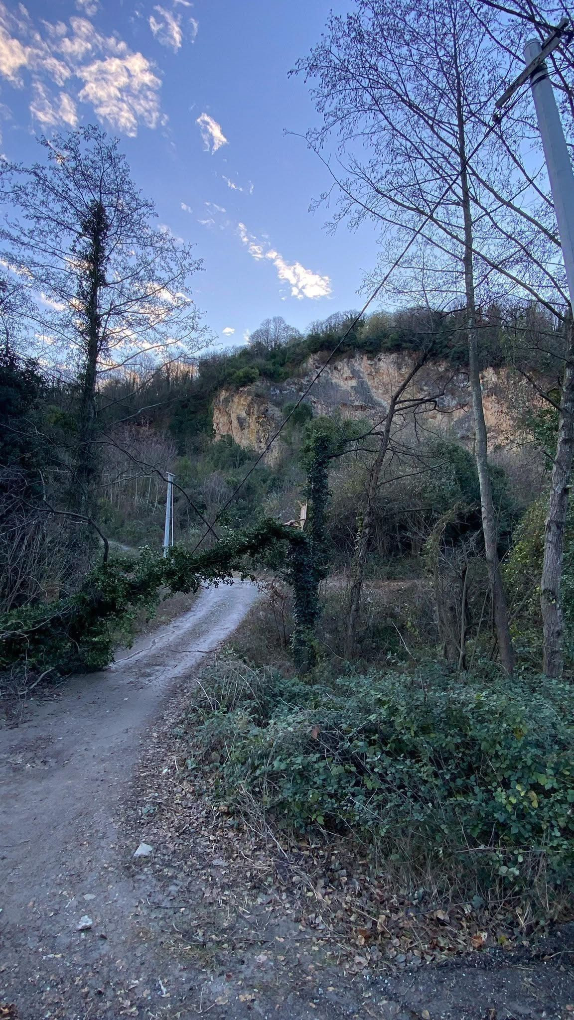 Sakarya’da Fırtına Ağaçları Devirdi, Belediye Ekipleri Müdahale Etti - Sayfa 2