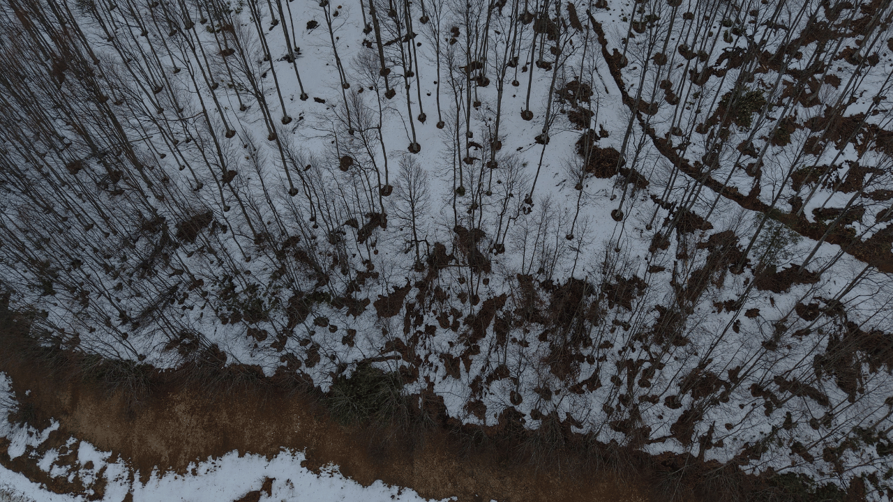 900 Rakımlı Çam Dağı Karla Beyaza Büründü - Sayfa 1