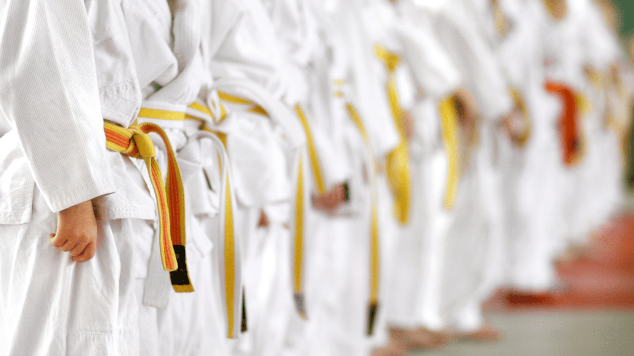 Büyükşehir’in Karatecileri Gürcistan’da Milli Formayı Terletecek - Sayfa 3