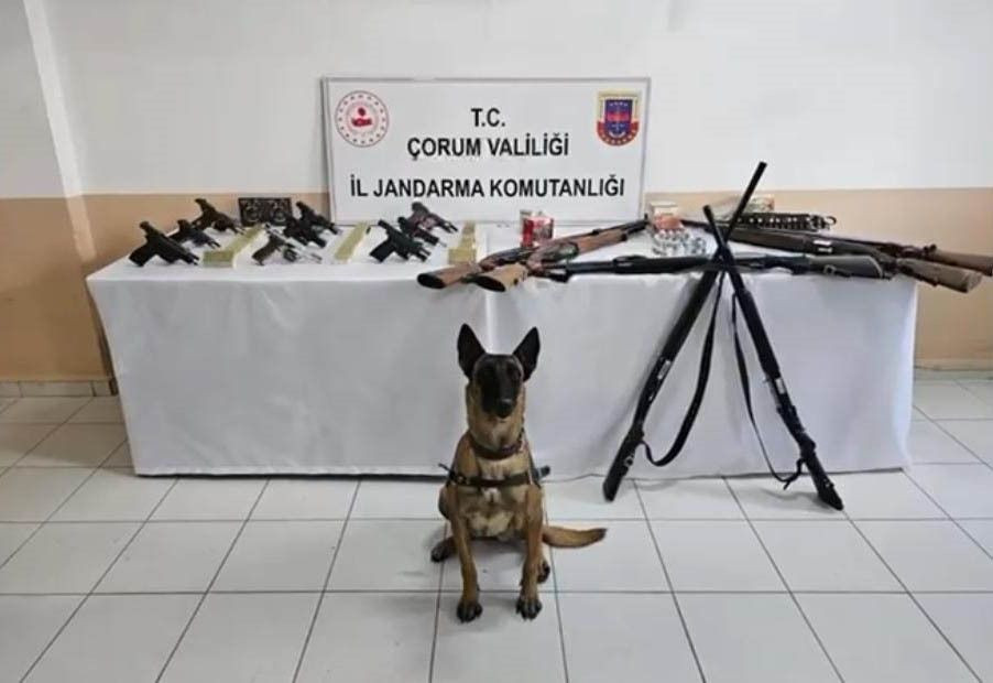 Yerlikaya: 14 İlde Silah Kaçakçılığı Operasyonu, 202 Şüpheli Yakalandı - Sayfa 4