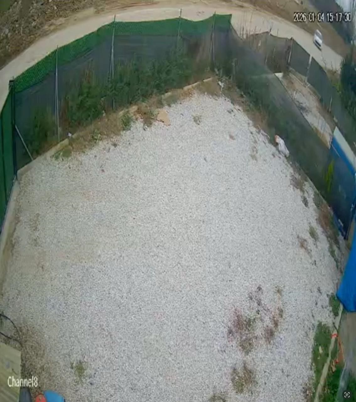 Direksiyon Hakimiyetini Kaybeden Sürücü Ölümden Döndü - Sayfa 1