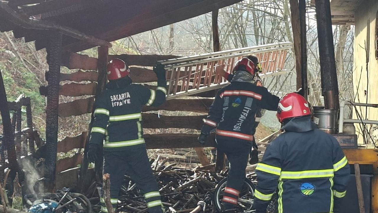 Akyazı’da Korkutan Yangın: Odunluk Alevlere Teslim Oldu - Sayfa 1