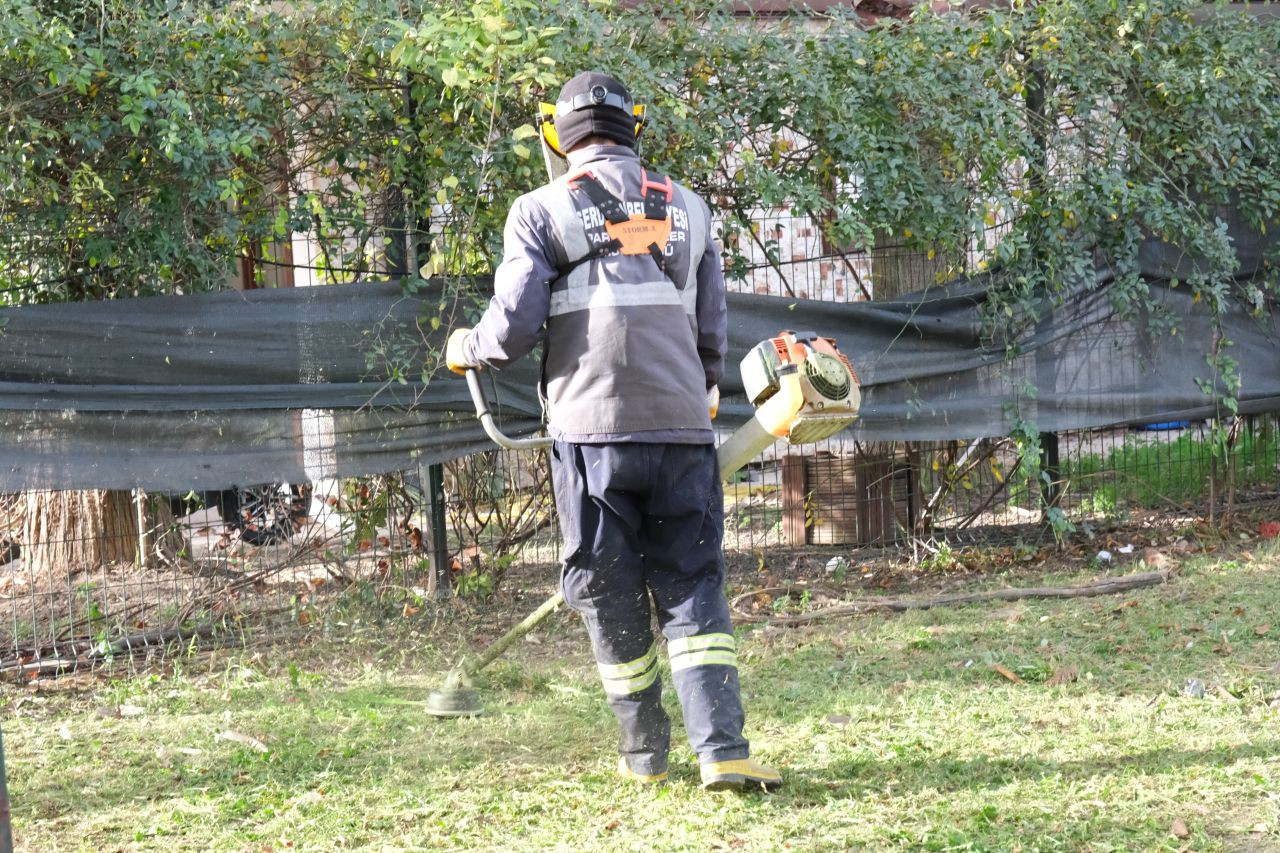 Serdivan’da Yeşil Alan Bakım Çalışmaları Aralıksız Sürüyor - Sayfa 1