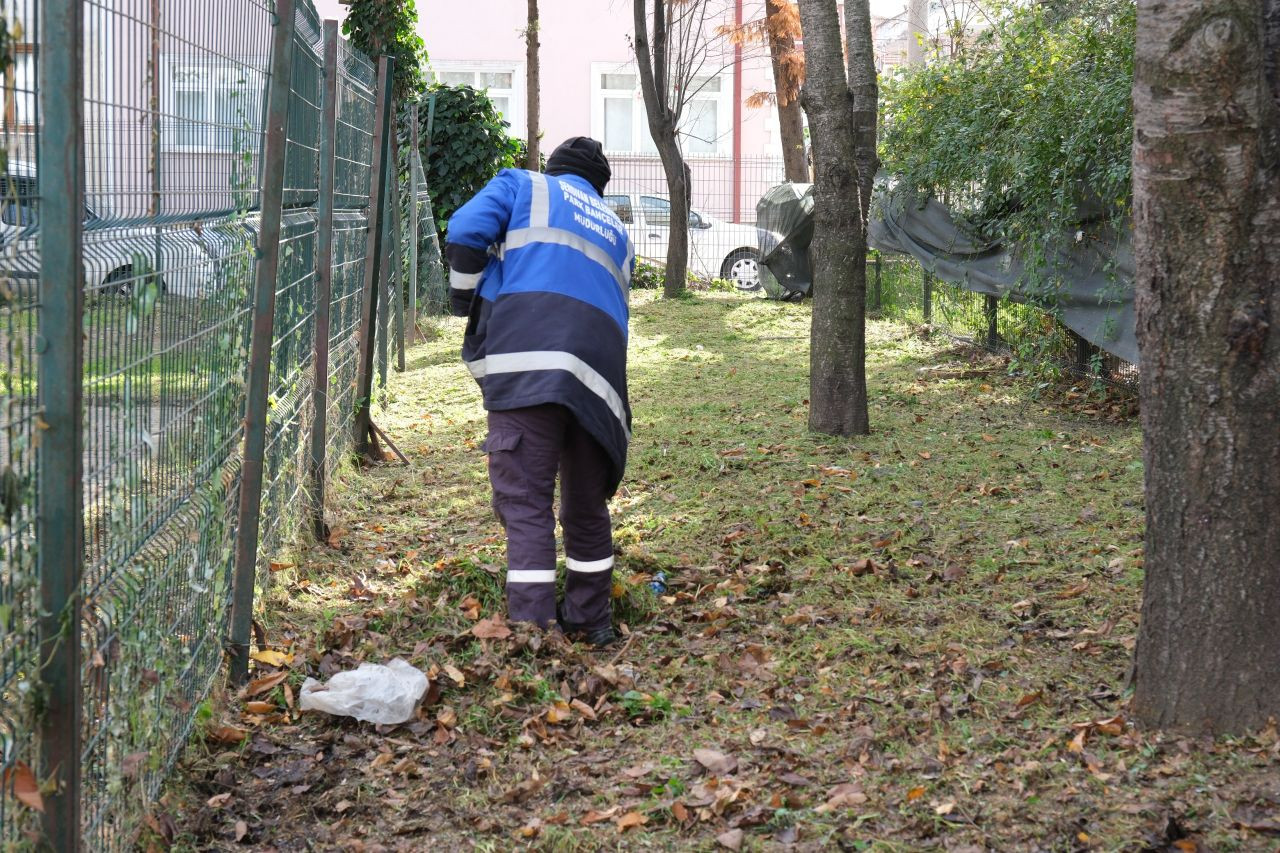 Serdivan’da Yeşil Alan Bakım Çalışmaları Aralıksız Sürüyor - Sayfa 2