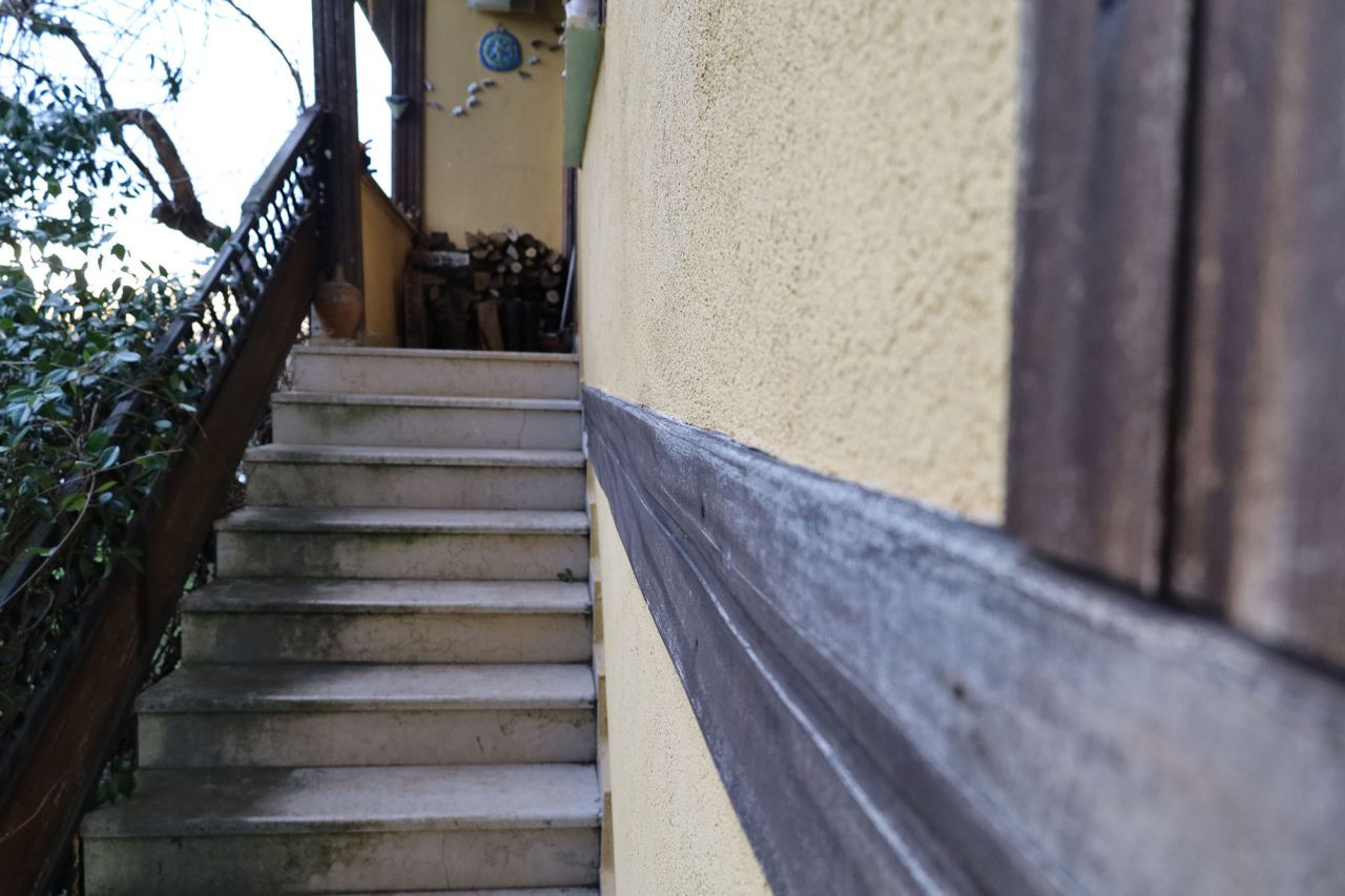 Binlerce Kokarcanın İstila Kabusunu TUTSAK Bitirdi - Sayfa 3