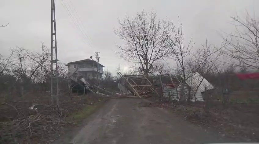 Sakarya’da Şiddetli Rüzgâr Ağaçları Devrirdi, Yol Kapandı - Sayfa 3
