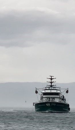 Gemlik’te Fırtına Felaketi - Sayfa 3