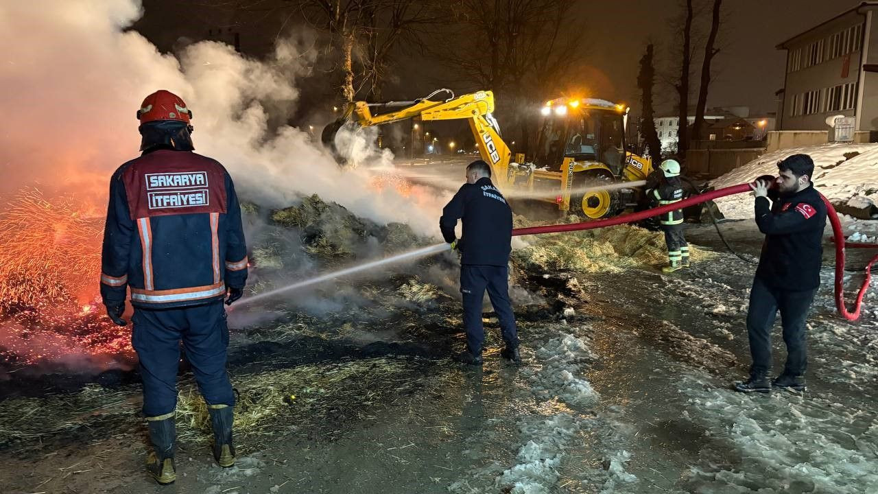 Hendek’te Saman Yüklü Kamyon Alev Aldı: Uyuyan Sürücü Son Anda Kurtarıldı - Sayfa 1
