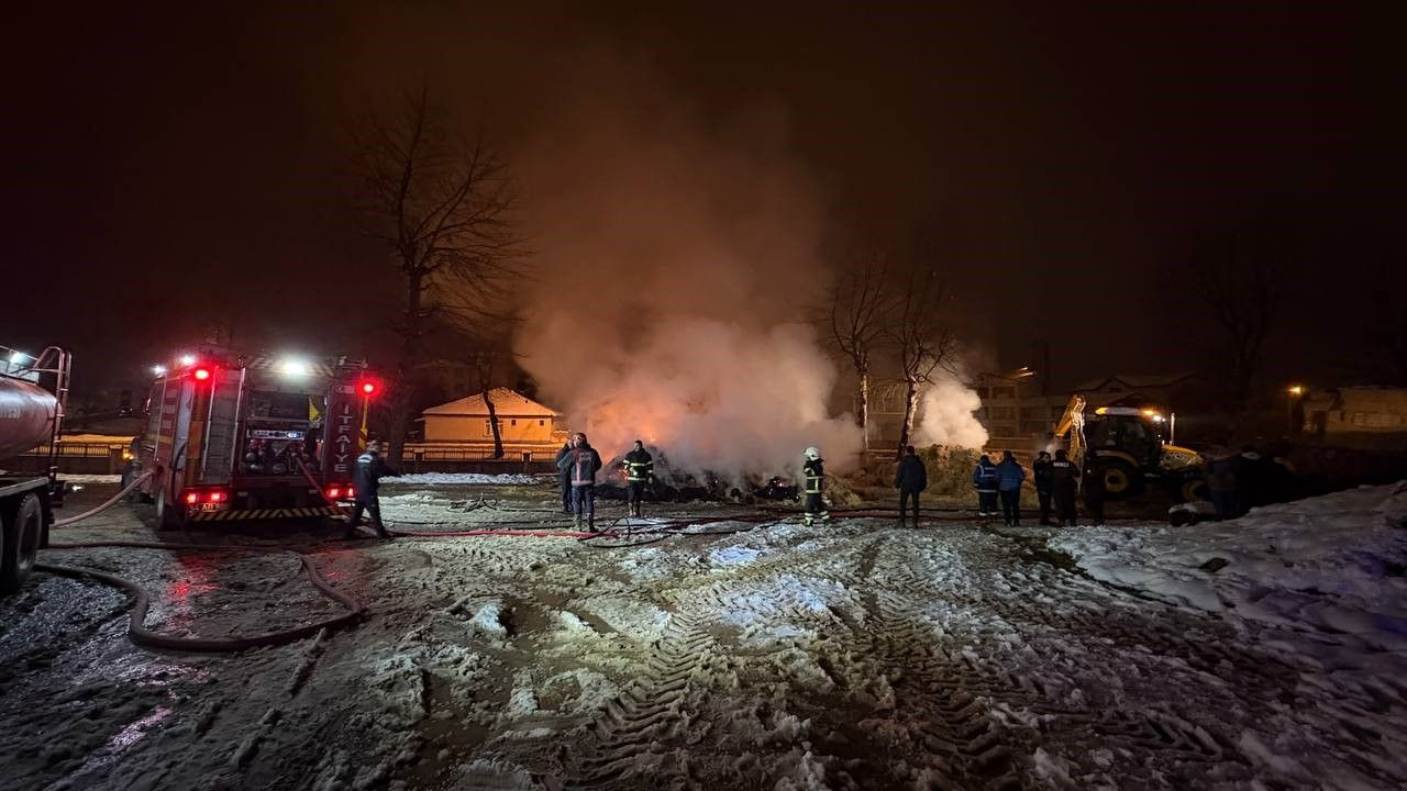 Hendek’te Saman Yüklü Kamyon Alev Aldı: Uyuyan Sürücü Son Anda Kurtarıldı - Sayfa 3