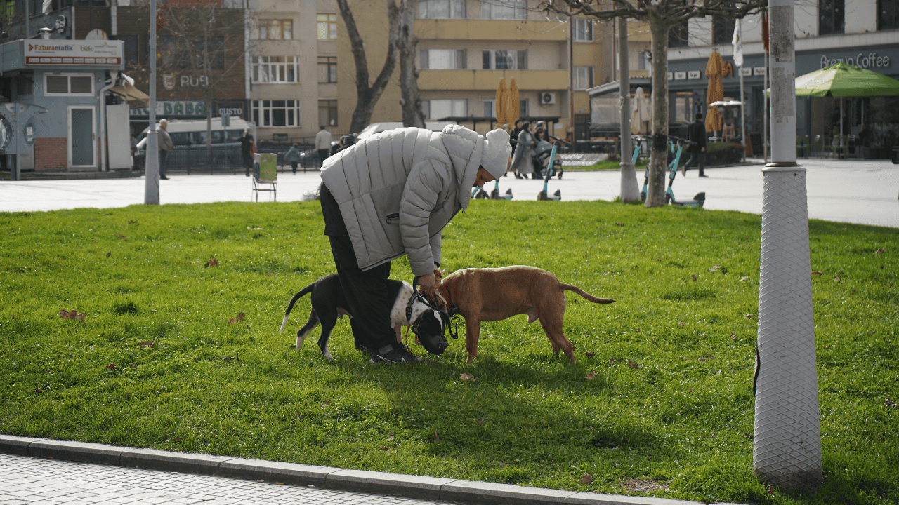 Kış Ortasında Sonbahar Havası Yaşanıyor - Sayfa 4