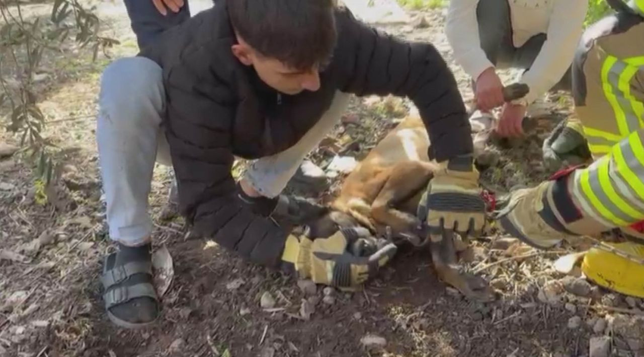 Patisi Zincire Sıkışan Köpeği İtfaiye Kurtardı - Sayfa 2