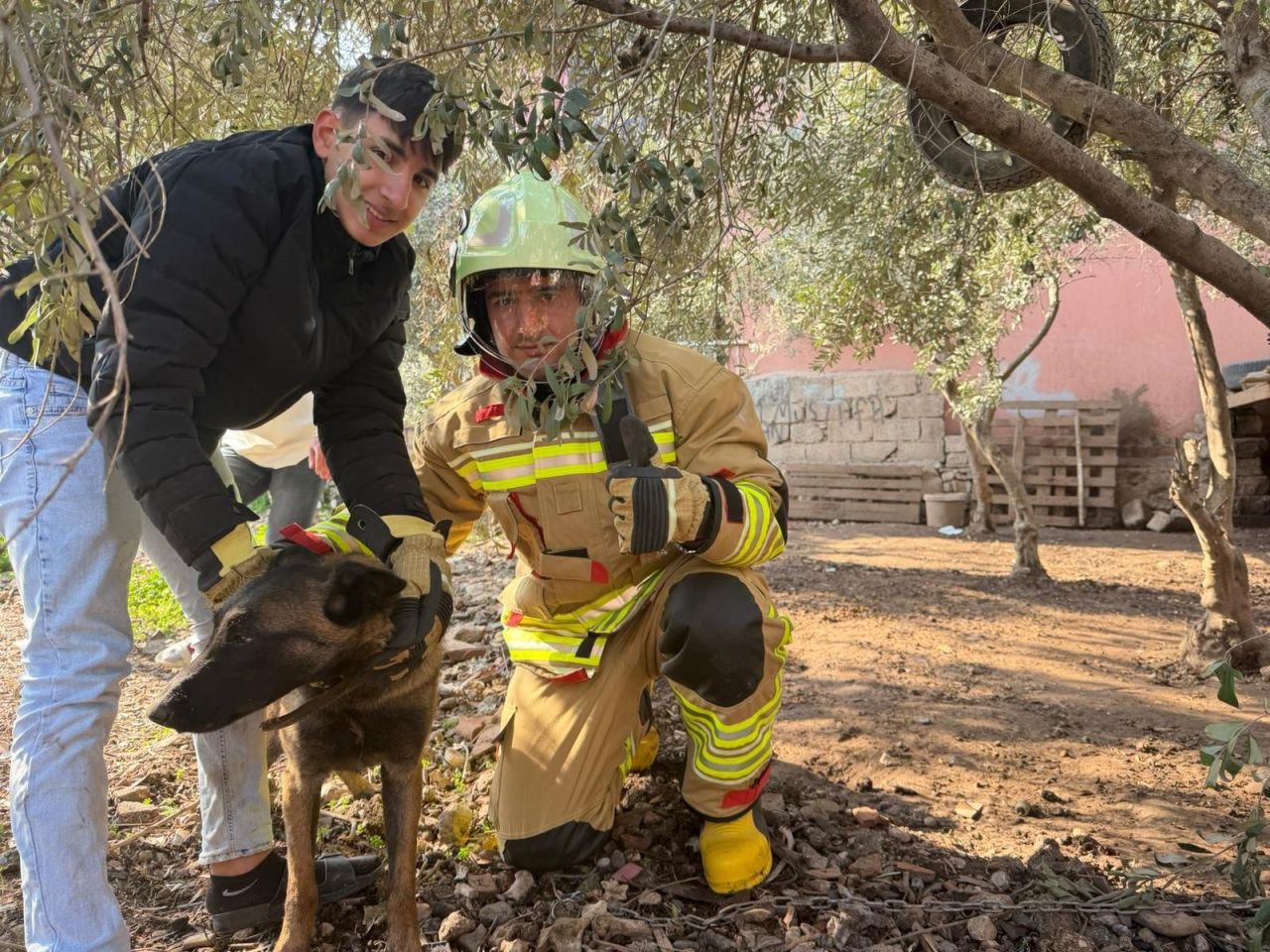 Patisi Zincire Sıkışan Köpeği İtfaiye Kurtardı - Sayfa 1