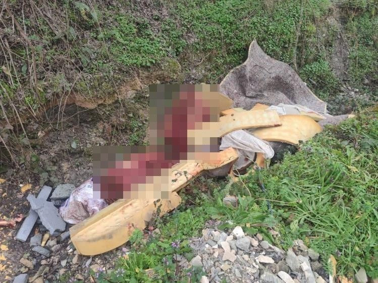 Otoyol Kenarındaki Kemikler At Kasaplarını Ele Verdi - Sayfa 3