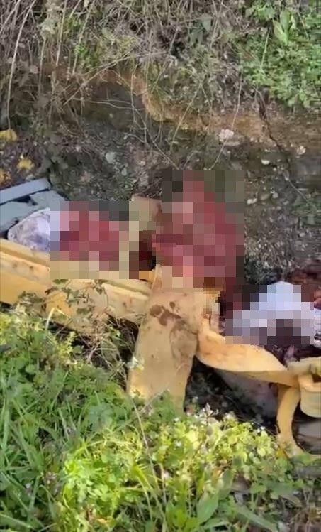 Otoyol Kenarındaki Kemikler At Kasaplarını Ele Verdi - Sayfa 2