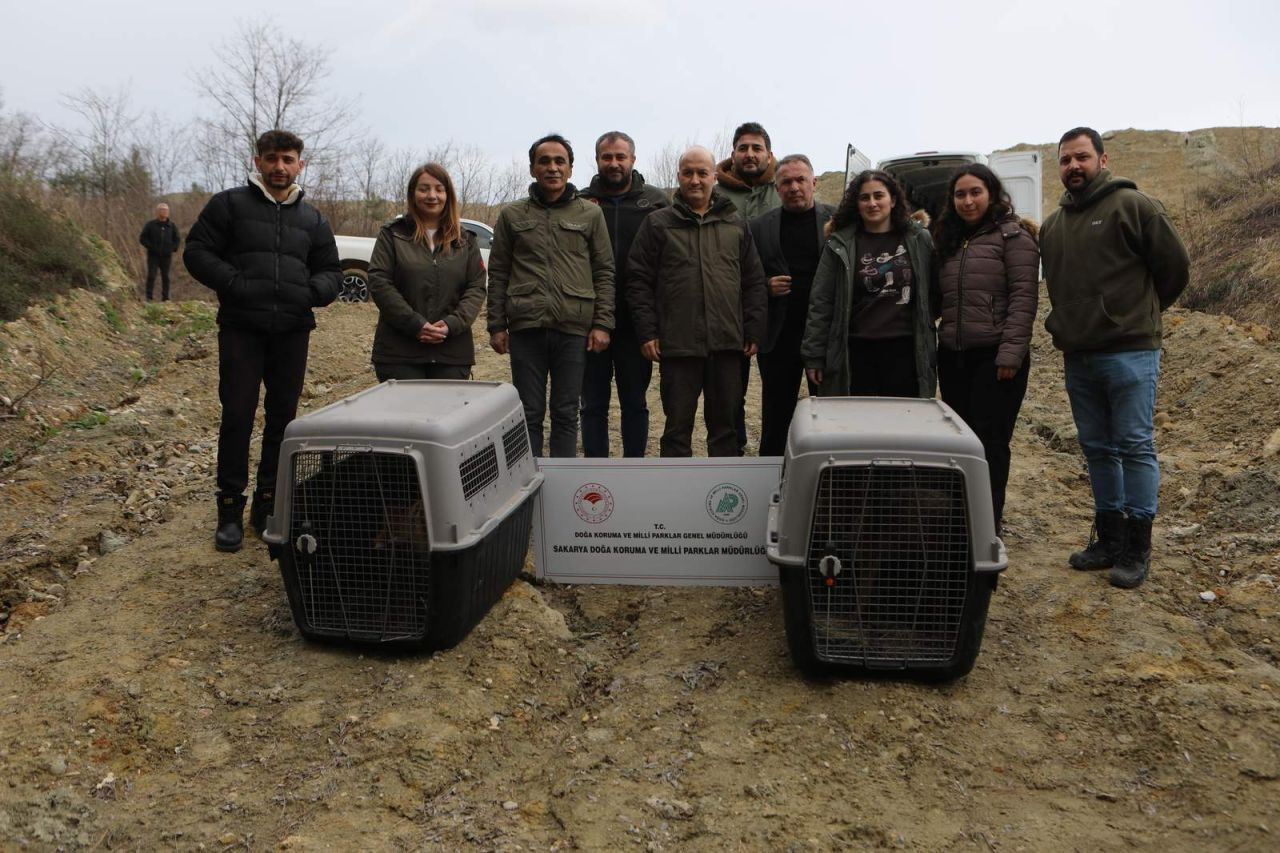 Gölya’da Tedavi Edilen Yaban Hayvanları Doğal Yaşam Alanlarına Salındı - Sayfa 1
